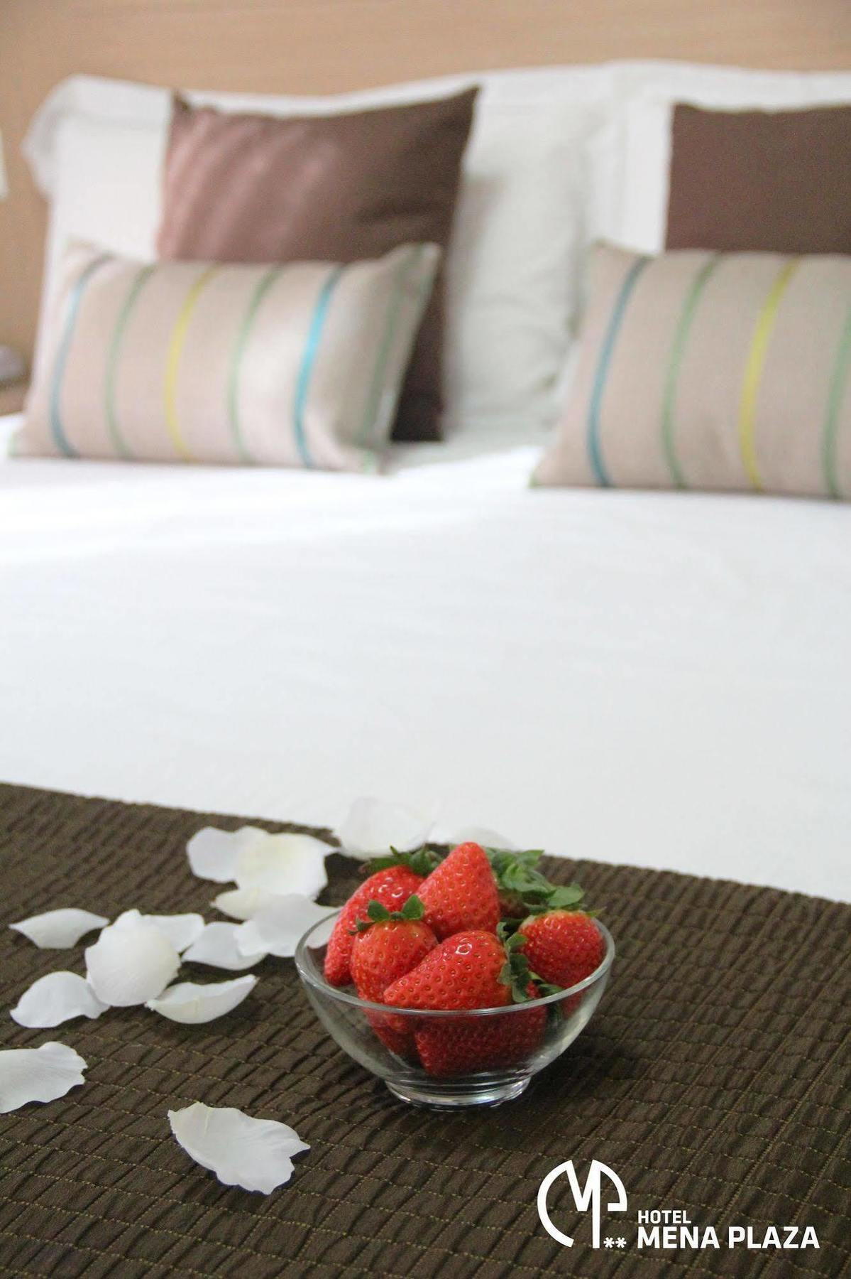 Mena Plaza Hotel 3*